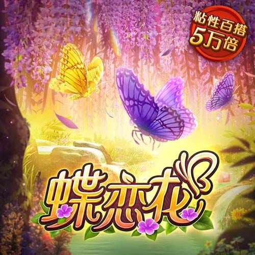 bb平台体育官网入口